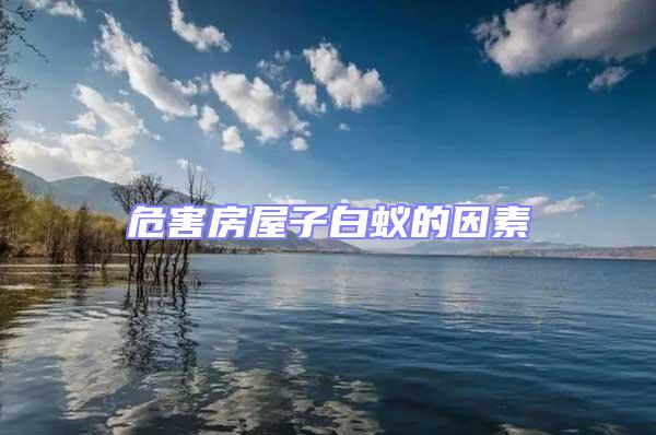 危害房屋子白蚁的因素