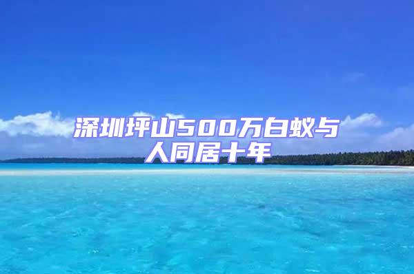 深圳坪山500万白蚁与人同居十年