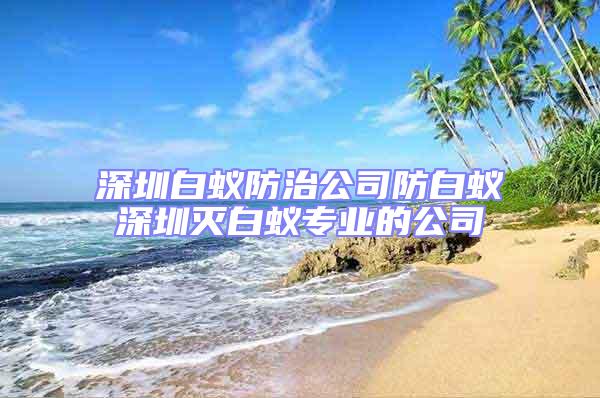 深圳白蚁防治公司防白蚁深圳灭白蚁专业的公司