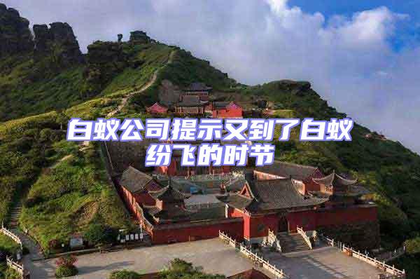 白蚁公司提示又到了白蚁纷飞的时节