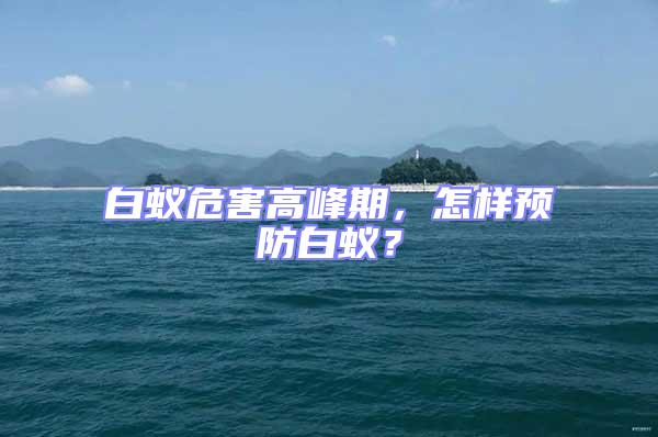 白蚁危害高峰期，怎样预防白蚁？