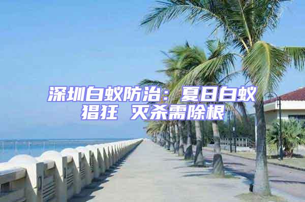 深圳白蚁防治：夏日白蚁猖狂 灭杀需除根