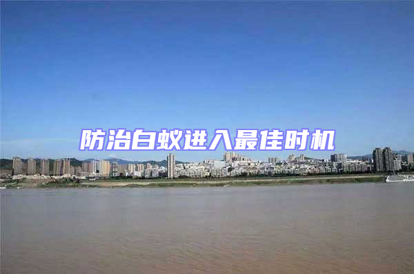 防治白蚁进入最佳时机