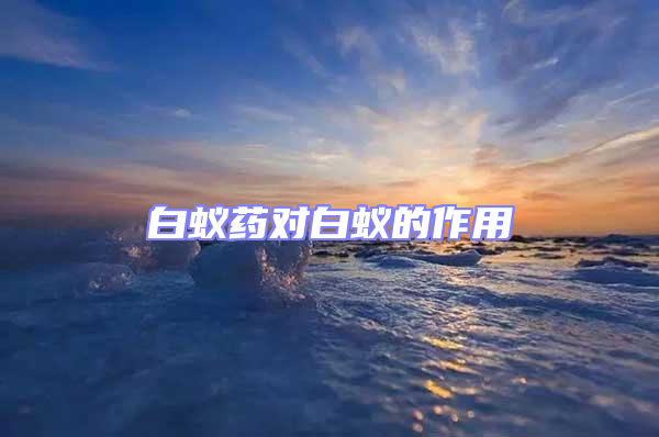 白蚁药对白蚁的作用