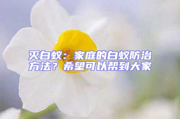 灭白蚁：家庭的白蚁防治方法？希望可以帮到大家