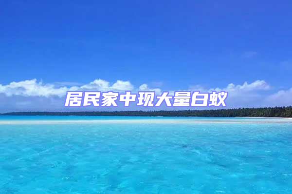 居民家中现大量白蚁