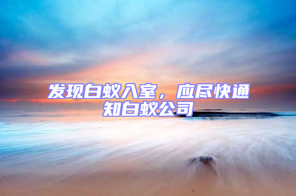 发现白蚁入室，应尽快通知白蚁公司