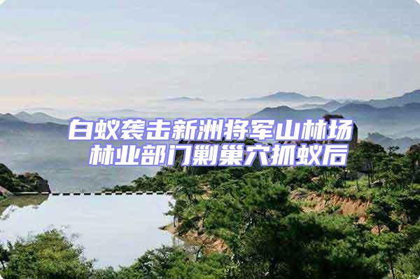 白蚁袭击新洲将军山林场 林业部门剿巢穴抓蚁后