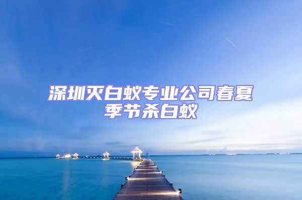 深圳灭白蚁专业公司春夏季节杀白蚁