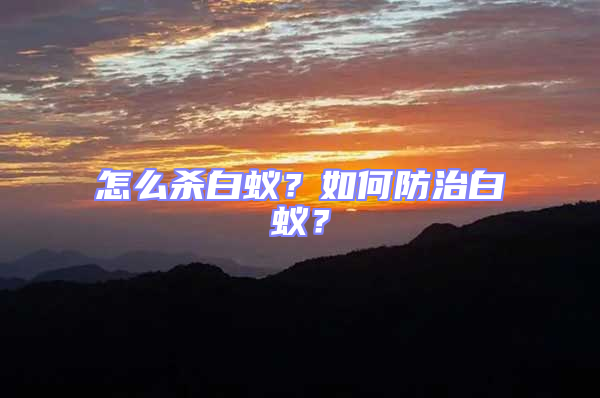 怎么杀白蚁？如何防治白蚁？
