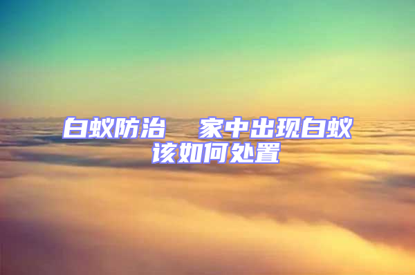 白蚁防治  家中出现白蚁 该如何处置