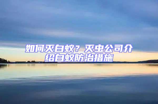 如何灭白蚁？灭虫公司介绍白蚁防治措施