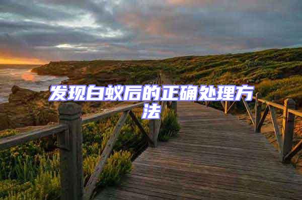 发现白蚁后的正确处理方法