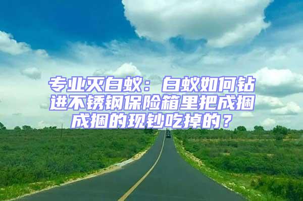 专业灭白蚁：白蚁如何钻进不锈钢保险箱里把成捆成捆的现钞吃掉的？