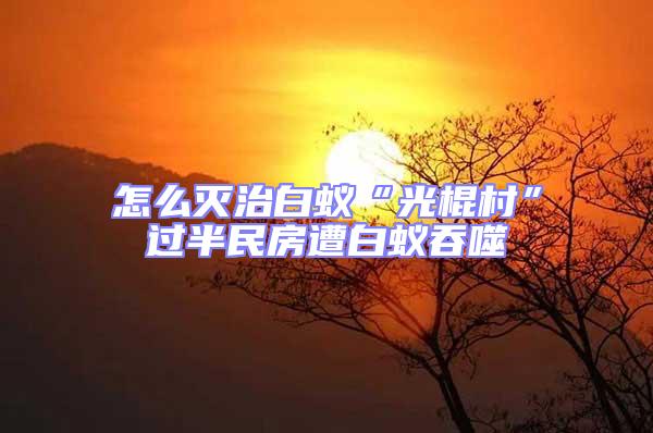 怎么灭治白蚁“光棍村”过半民房遭白蚁吞噬