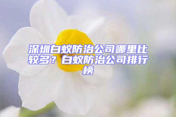 深圳白蚁防治公司哪里比较多？白蚁防治公司排行榜