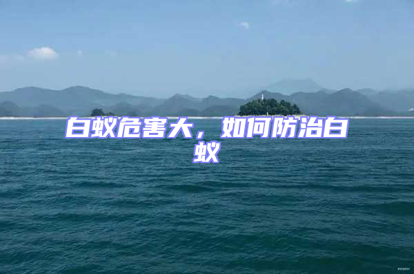 白蚁危害大，如何防治白蚁