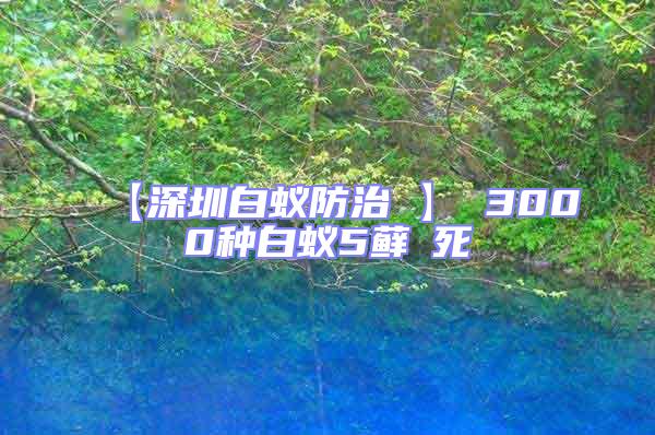 【深圳白蚁防治 】 3000种白蚁5藓θ死