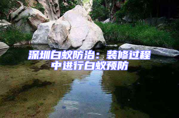 深圳白蚁防治：装修过程中进行白蚁预防