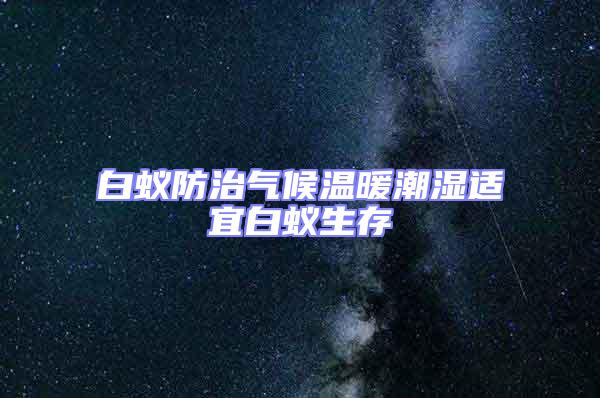 白蚁防治气候温暖潮湿适宜白蚁生存