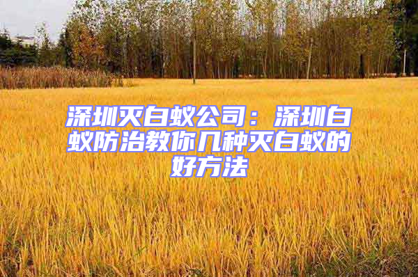 深圳灭白蚁公司：深圳白蚁防治教你几种灭白蚁的好方法