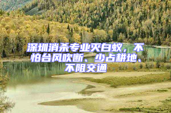 深圳消杀专业灭白蚁，不怕台风吹断、少占耕地、不阻交通