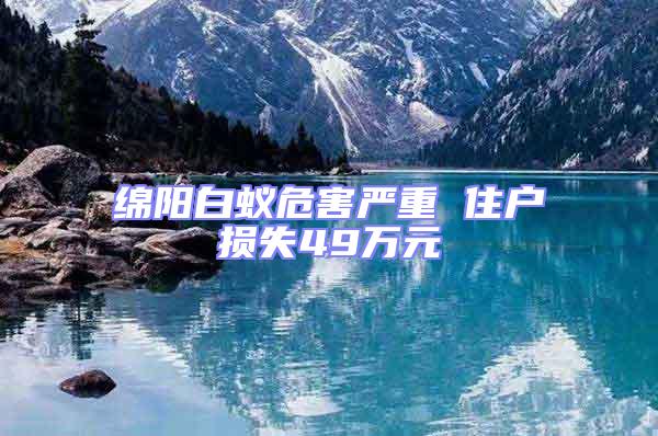 绵阳白蚁危害严重 住户损失49万元