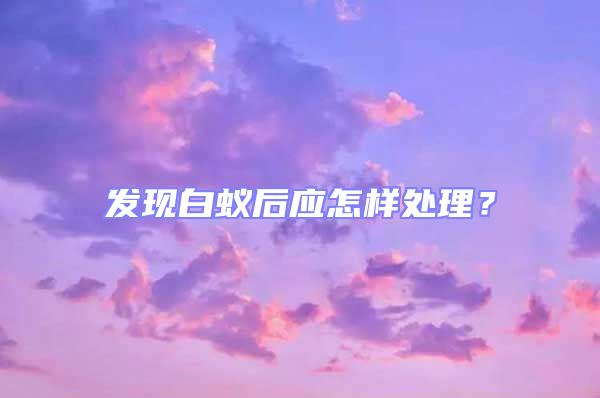 发现白蚁后应怎样处理？