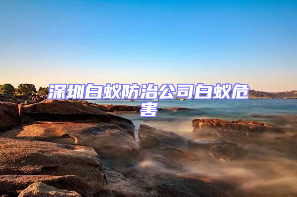 深圳白蚁防治公司白蚁危害