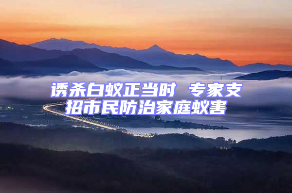 诱杀白蚁正当时 专家支招市民防治家庭蚁害