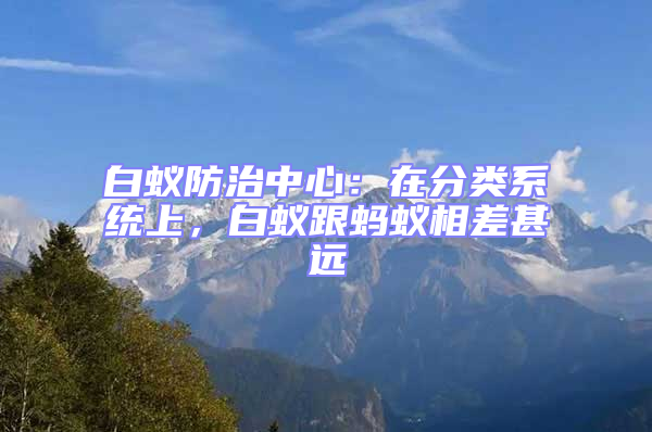 白蚁防治中心：在分类系统上，白蚁跟蚂蚁相差甚远