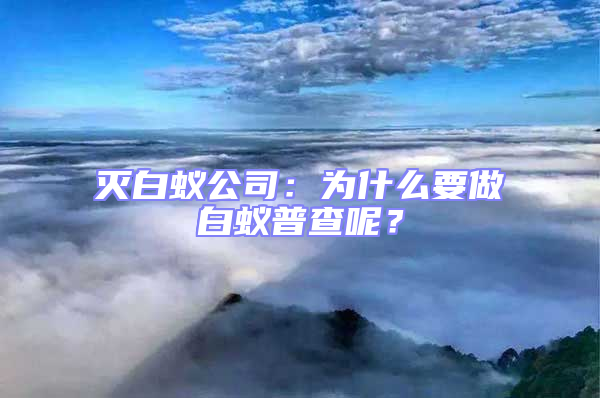 灭白蚁公司：为什么要做白蚁普查呢？