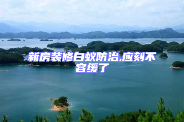 新房装修白蚁防治,应刻不容缓了