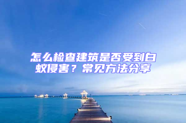 怎么检查建筑是否受到白蚁侵害？常见方法分享