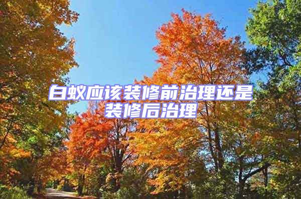 白蚁应该装修前治理还是装修后治理