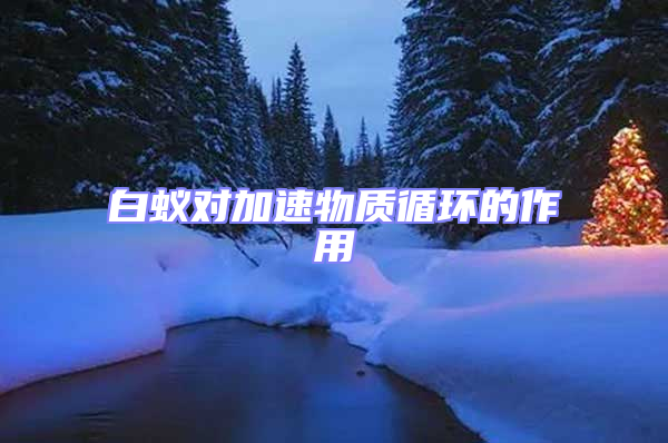 白蚁对加速物质循环的作用