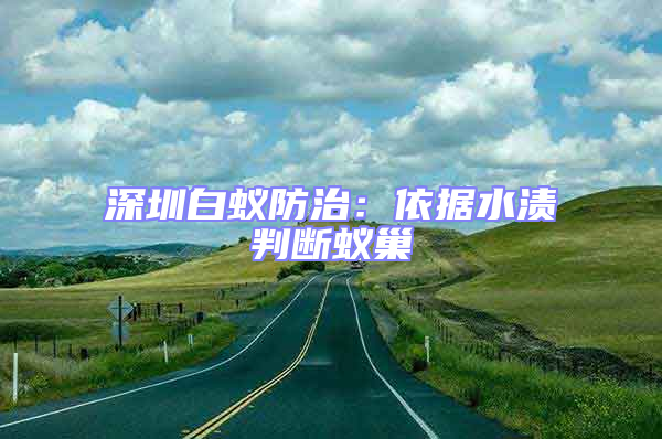 深圳白蚁防治：依据水渍判断蚁巢
