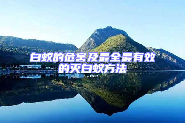白蚁的危害及最全最有效的灭白蚁方法