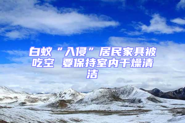 白蚁“入侵”居民家具被吃空 要保持室内干燥清洁