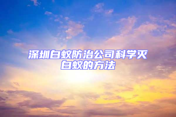 深圳白蚁防治公司科学灭白蚁的方法