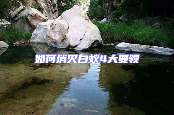 如何消灭白蚁4大要领