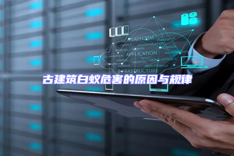 古建筑白蚁危害的原因与规律