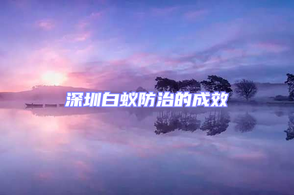 深圳白蚁防治的成效