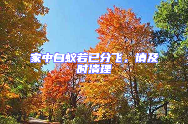 家中白蚁若已分飞，请及时清理