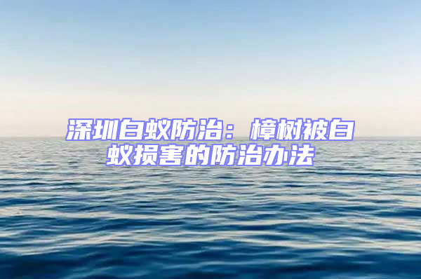 深圳白蚁防治：樟树被白蚁损害的防治办法