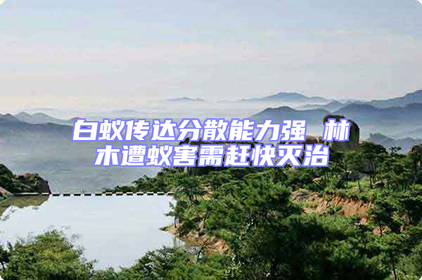 白蚁传达分散能力强 林木遭蚁害需赶快灭治