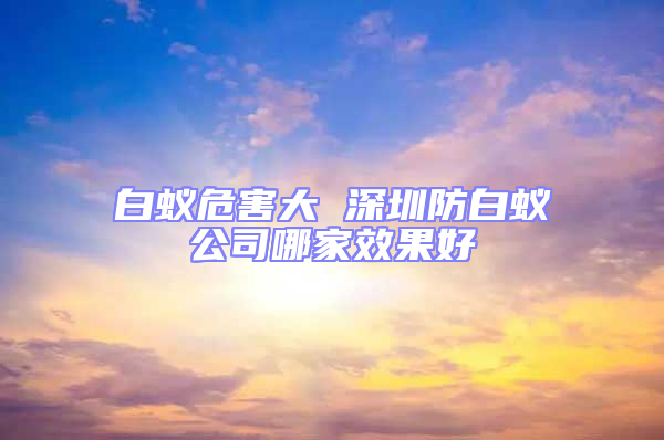 白蚁危害大 深圳防白蚁公司哪家效果好