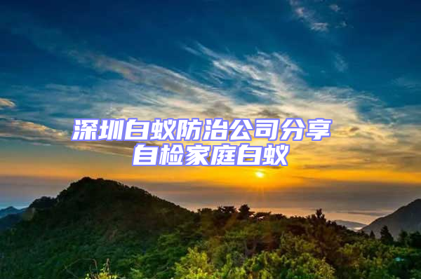 深圳白蚁防治公司分享 自检家庭白蚁