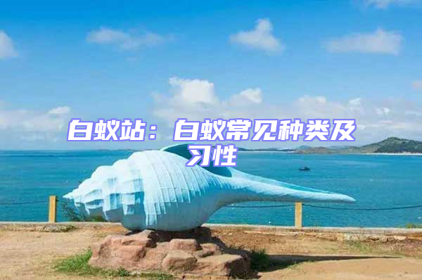 白蚁站：白蚁常见种类及习性