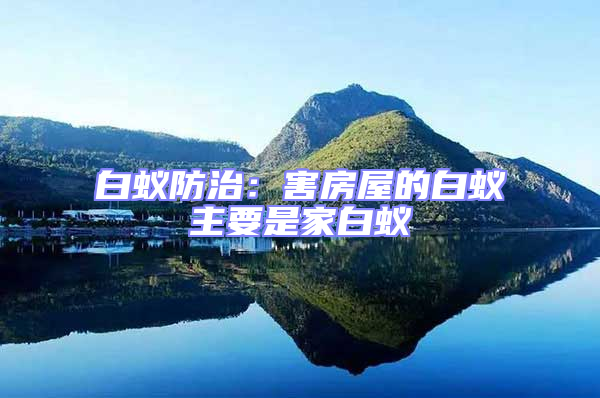 白蚁防治：害房屋的白蚁主要是家白蚁